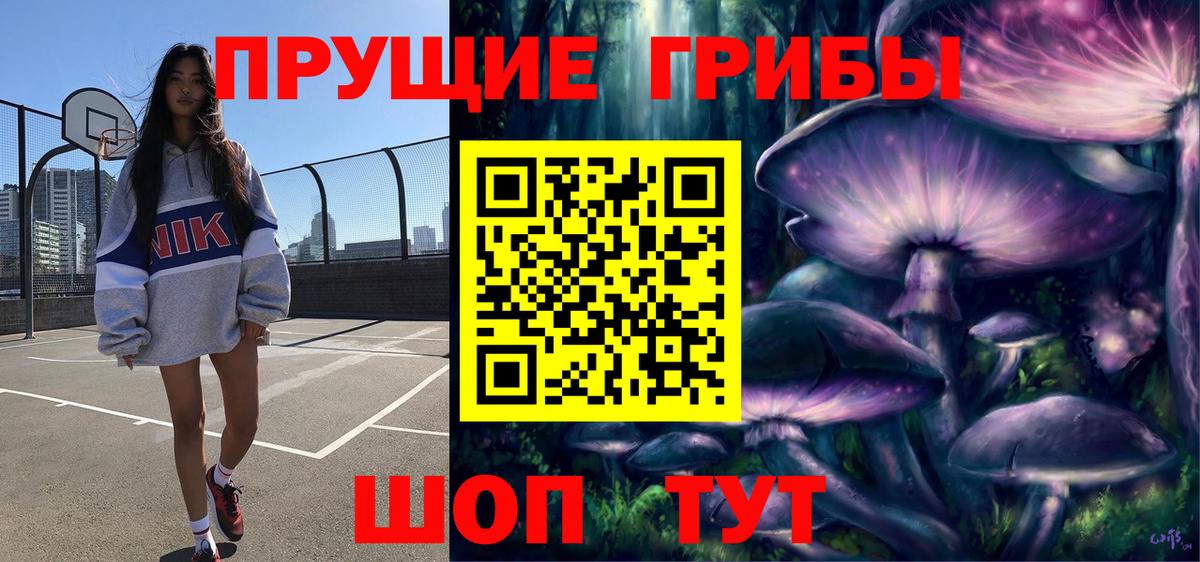 Барнаул  Псилоцибиновые грибы Psilocybine cubensis  Вход с VPN 